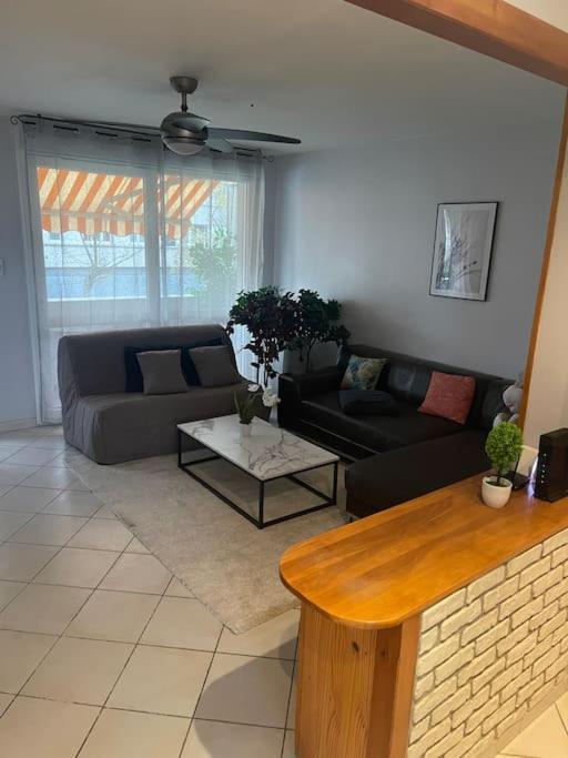 Appartement Entier Climatise - Parking Prive Saint-Martin-dʼHères 外观 照片